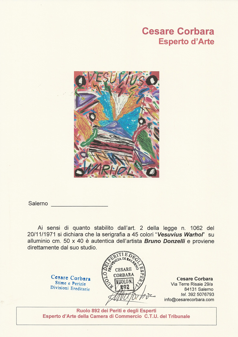 Vesuvius Warhol - Bruno Donzelli